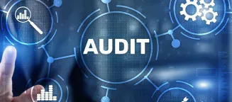 Audit Support